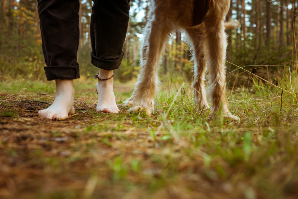 Waldbaden-mit-Hund-Inhalt