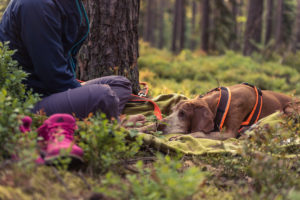 Waldbaden-mit-Hund-3