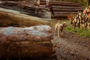 Waldbaden-mit-Hund-4