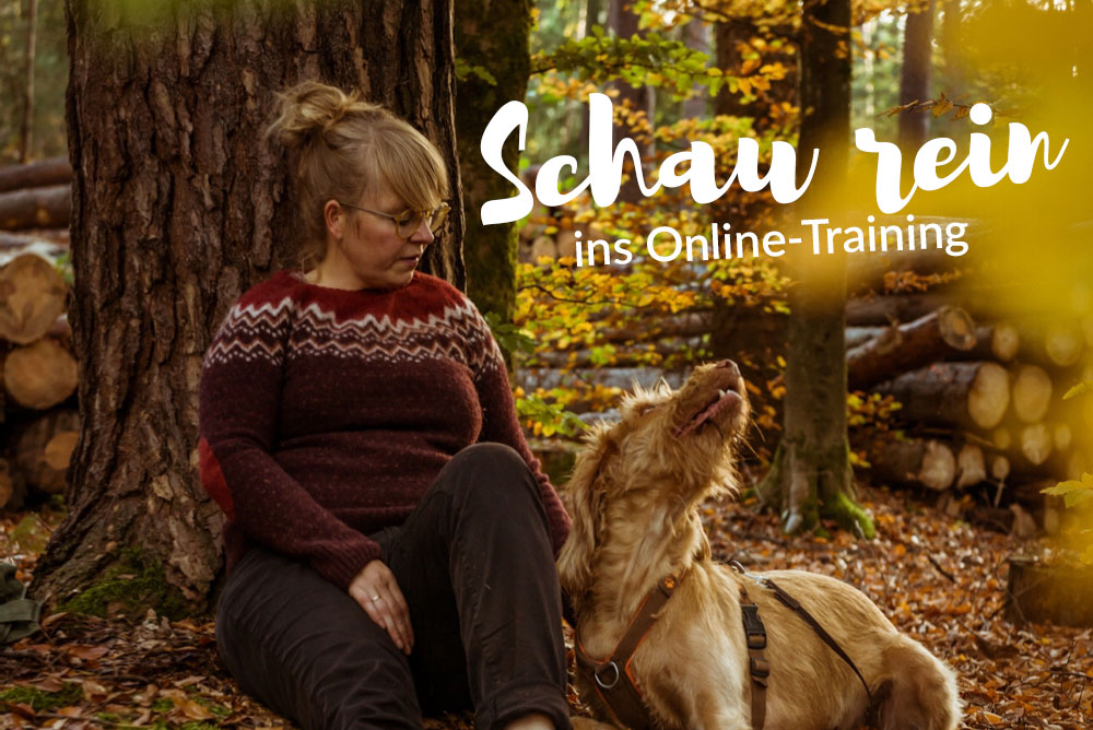 Waldbaden-mit-Hund-Vorschau-Onlinetraining